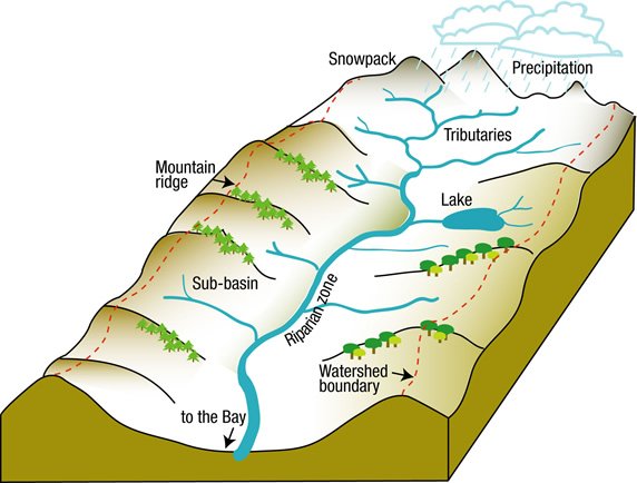 Illustration of a watershed