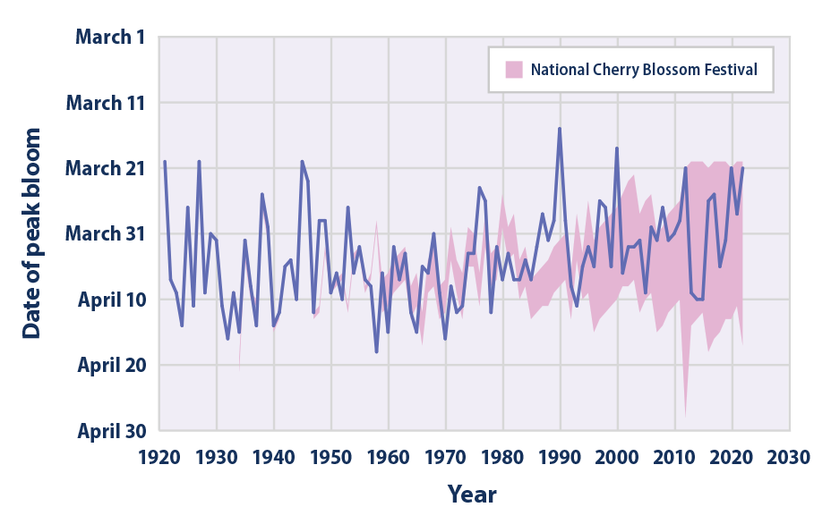 Line graph showing the annual peak bloom date of Washington, D.C.'s cherry trees from 1921 to 2022. The timing of the annual National Cherry Blossom Festival is shown for reference.