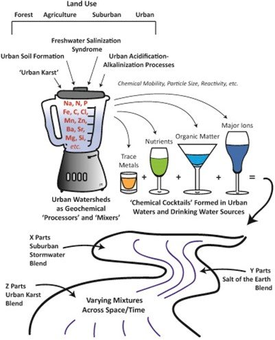 How salts form chemical cocktails (from Kaushal et al. 2020)