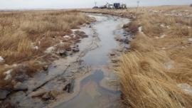 oil-contaminated stream in grassy area