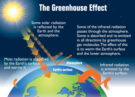 effects of air pollution on earth