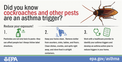 Pests are asthma triggers