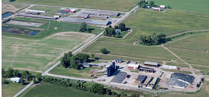 Patterson Farms Aerial View