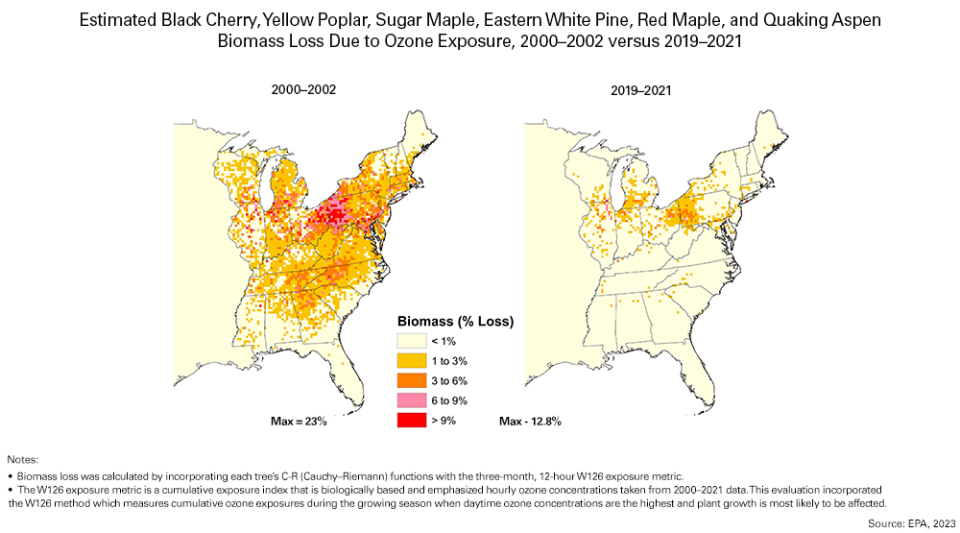 Estimated Black Cherry, Yellow Poplar, Sugar Maple, Eastern White Pine, Red Maple, and Quaking Aspen Biomass Loss Due to Ozone Exposure, 200-2002 versus 2019-2021