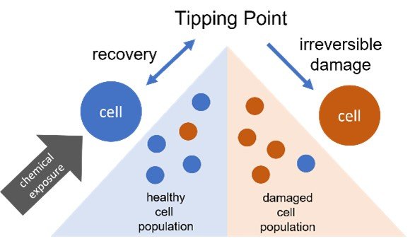 An infographic shows a triangle view of tipping point. On one side, the cell can be exposed to a certain point before it receives irreversible damage--like a ball on one side of the triangle will roll back down that same side. Once the cell reaches the tipping point--the apex of the triangle--it incurs irreversible damage and can not return back to the state of recovery. 