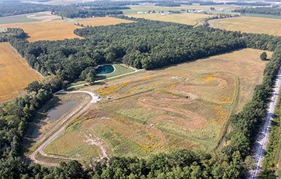 Wetland aerial image in Region 5