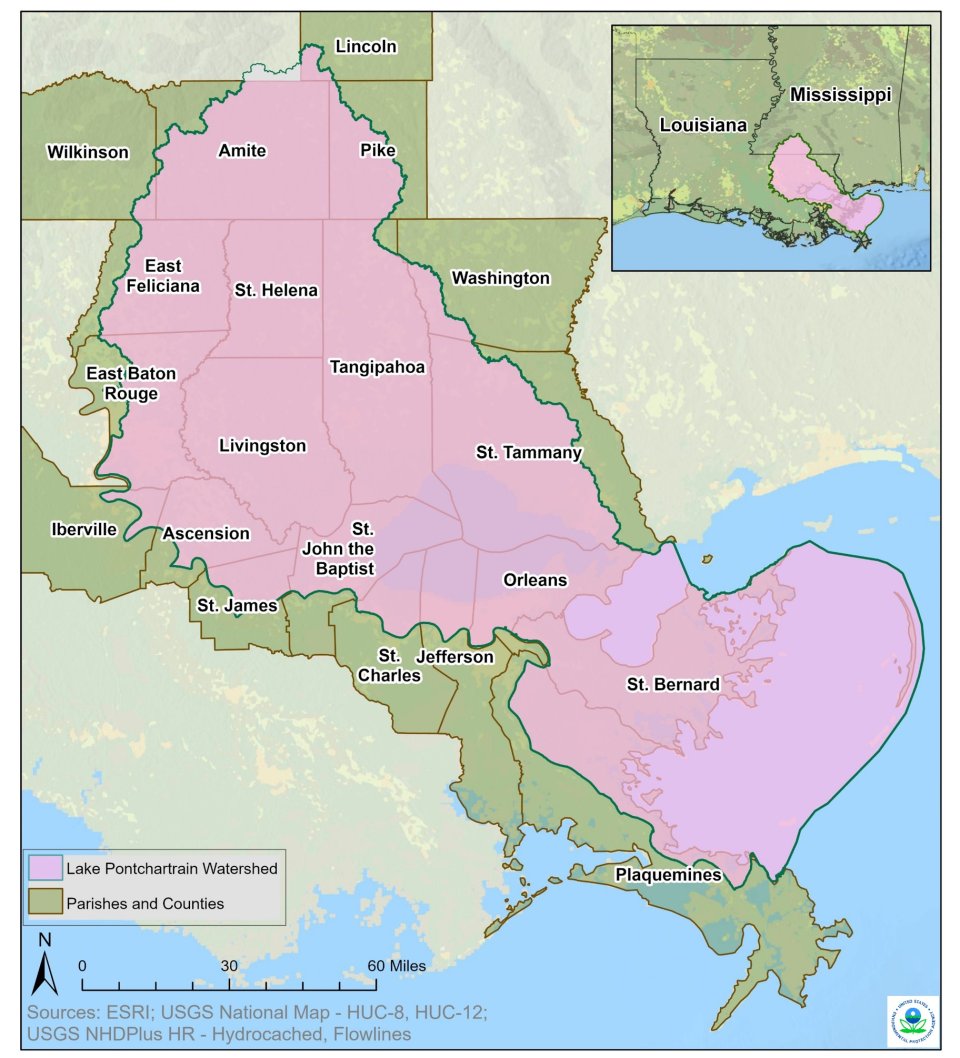 Lake Pontchartrain Basin Foundation's Derelict Crab Trap Removal Program