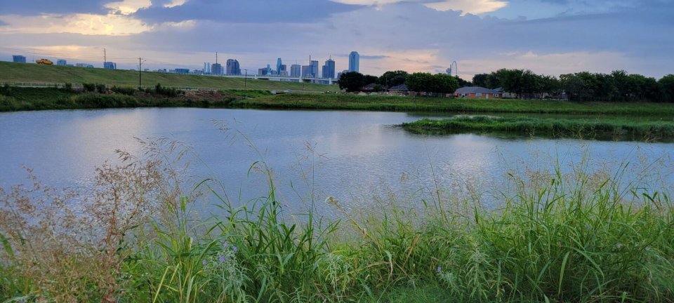 A view of the city of Dallas from Little Lemon Lake in Joppa, South Dallas