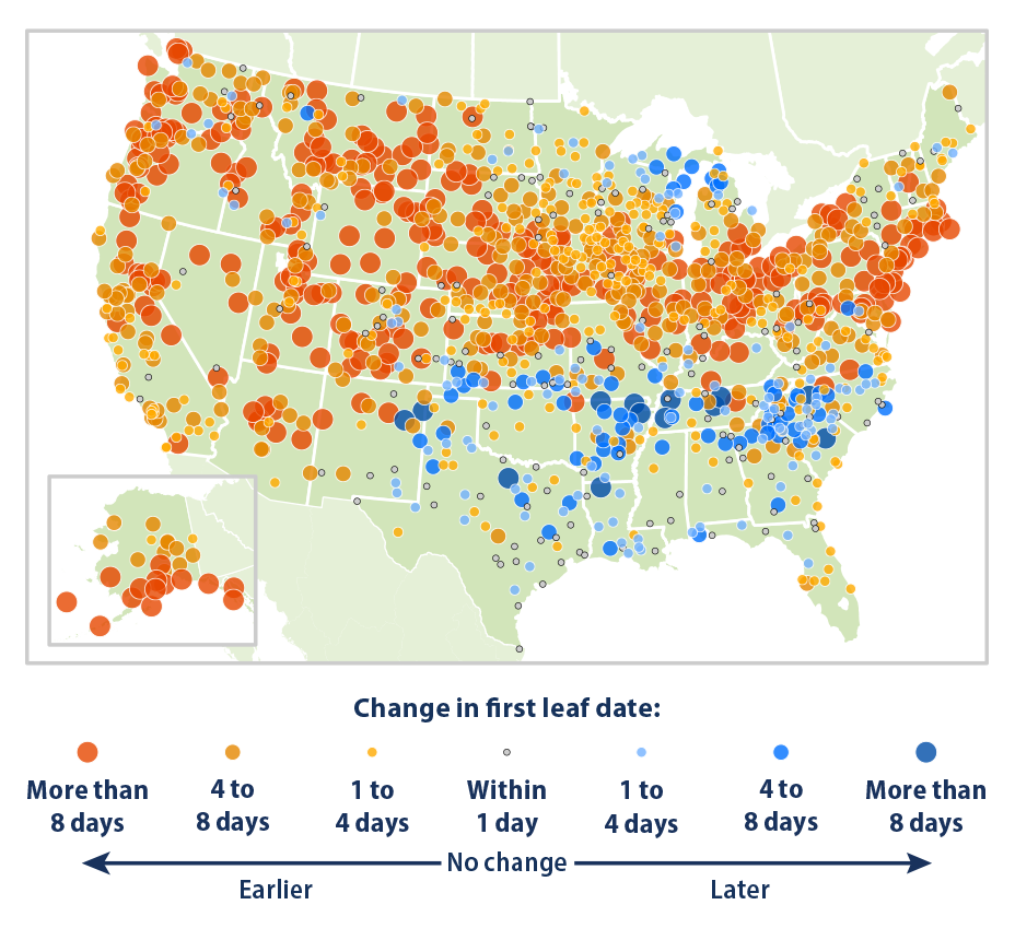 Map showing the change in first leaf dates at weather stations across the contiguous 48 states and Alaska. This map compares the average first leaf date during two 10-year periods: 1951-1960 and 2014-2023.