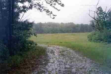 a trail leading to a field