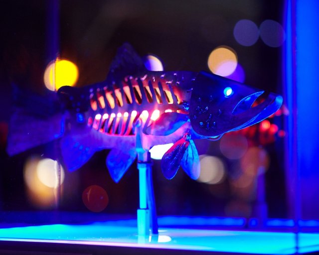 Gil, EPA’s reactive fish sculpture, lights up as it sits on display at a nighttime community event in New Orleans. (Image Credit for all images: Patrick Niddrie.)