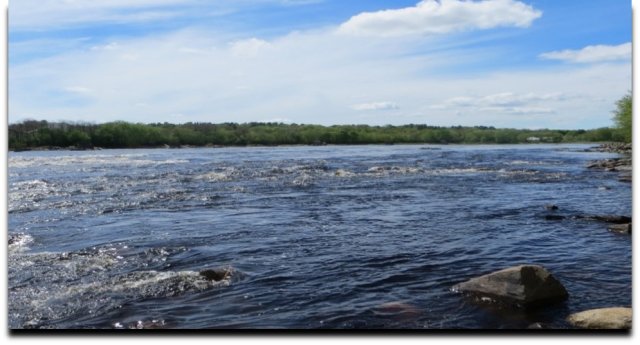 One Health Assessment: Fish Returning to the Penobscot River