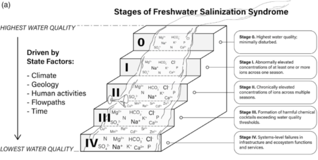 Stages of Freshwater Salinization Syndrome (from Kaushal et al. 2022)