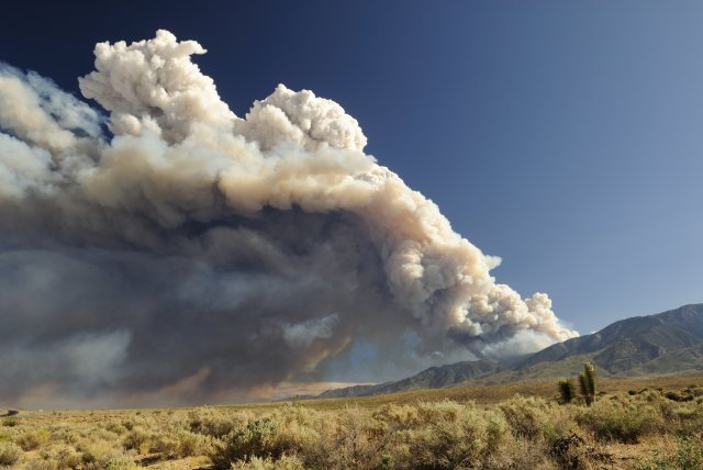 Fighting the Haze: Effects of Wildfire Smoke and Particulate Matter on  Brain Function