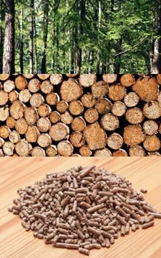 Illustration of the transition from trees, to lumber, to wood pellets.