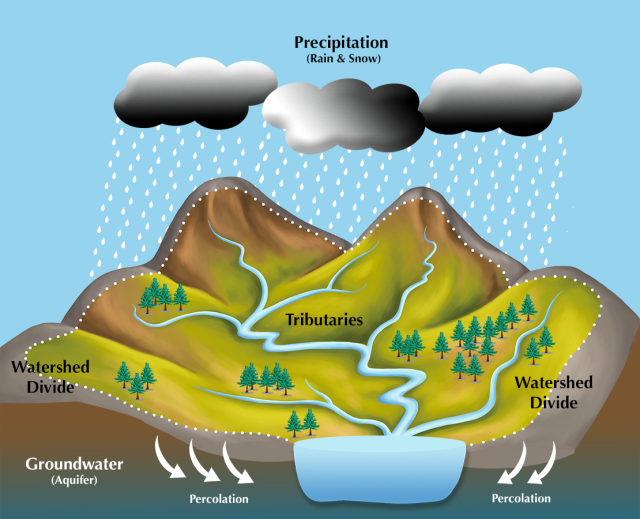 Illustration: What is a watershed? [Credit: The Center for Watershed Protection]