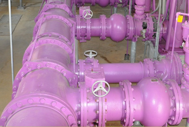 The figure is a photograph of the pipeline used to transport reuse water to end users. The pipeline is painted purple – a common color used to indicate that the pipe contains non-potable treated wastewater for reuse. 