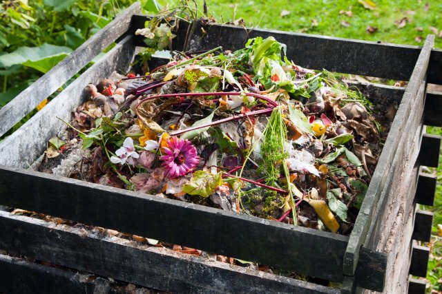 15 Compost Bins to Reduce Waste