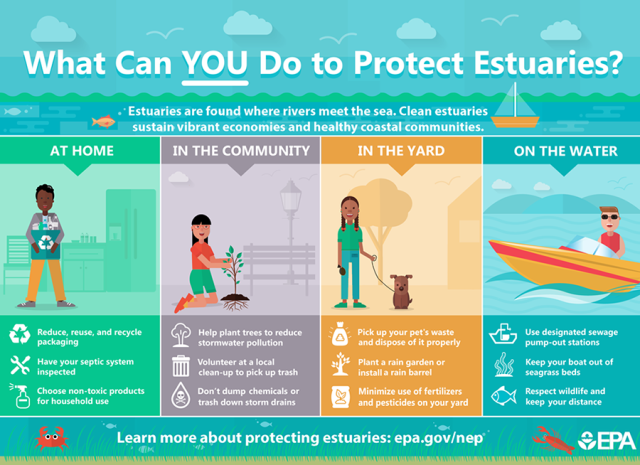 Sample poster about What you can do to protect estuaries. A text only version is a available in the following link.