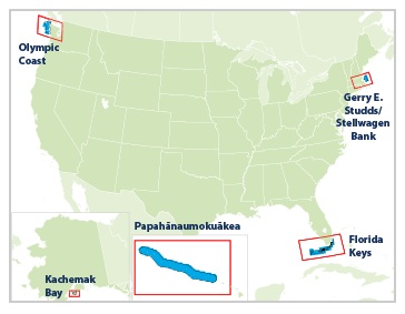 A map of the continental United States, Alaska, and Hawaii showing the location five marine protected areas including Olympic Coast, Kachemak Bay, Gerry E. Studds/ Stwellwagen Bank, Florida Keys, and Papahanaumokuakea.