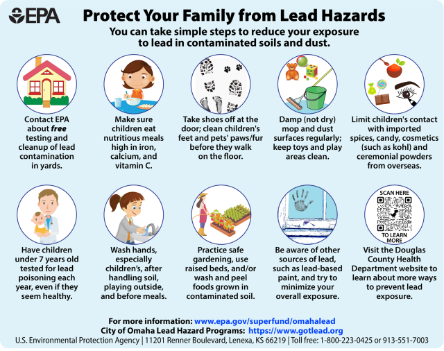 Lead safety infographic