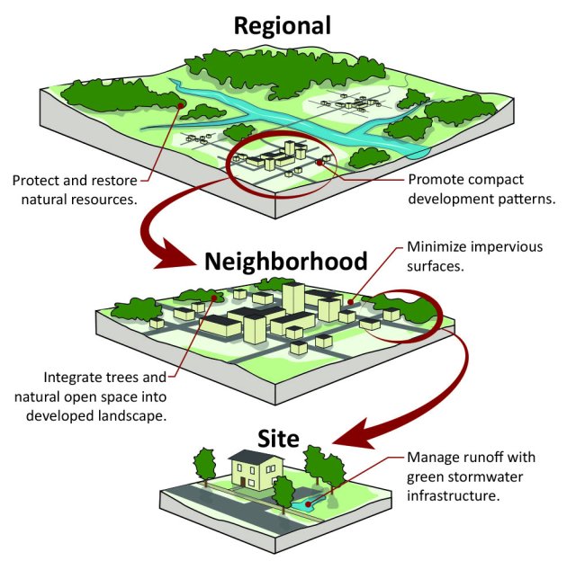 Green Infrastructure at Different Scales