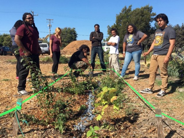 Green Stormwater Infrastructure By and For Communities creates urban green spaces in cooperation with local communities in East Oakland and Richmond. Photo Credit: SFEI