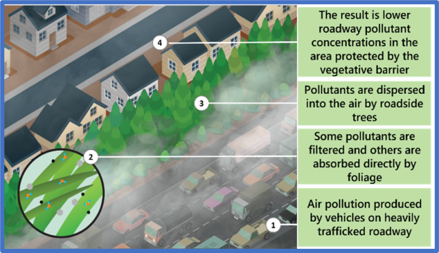 EPA vegetive barriers informational graphic.