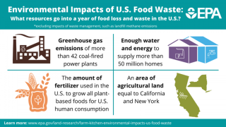 This is an infographic showing what resources go into a year of food loss and waste in the U.S. These include greenhouse gas emissions of more than 42 coal-fired power plants; enough water and energy to supply more than 50 million homes; the amount of fertilizer used in the U.S. to grow all plant-based foods for U.S. human consumption; and an area of agriculture land equal to California to New York.