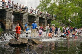 Group of participatory scientists conducting water monitoring.