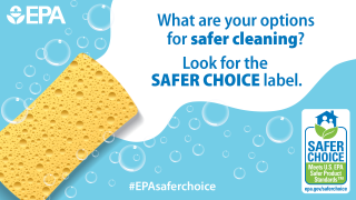 Image of a sponge with text describing how the Safer Choice label can identify options for safer cleaning