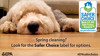Image with a dog describing that the Safer Choice label can be used to find options for spring cleaning