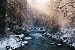 Snowy view of a river running through a forest.