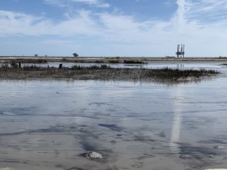 Photo taken from the northern containment dike on the western end of project facing the Gulf of Mexico. Pictured is the newly placed dredged sediment, sand fencing on top of the Caminada dune, and the Gulf of Mexico in the background. Oil rigs can be seen offshore.