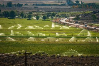 scenic view of a large agricultural field being irrigated with large sprays