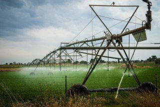 closeup of an agricultural-scale irrigation machine watering a crop