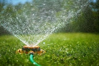 closeup view of a lawn sprinkler actively irrigating a lawn