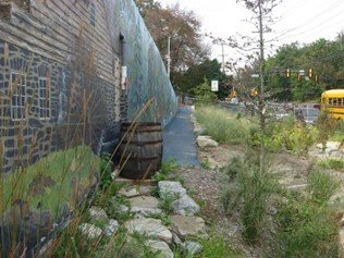 a rain barrel collecting water from a pipeleading from a wall/roof/structure beside a rain garden