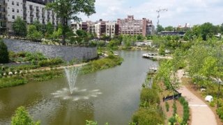 Green infrastructure stream