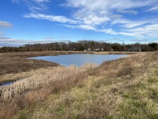 Delaware stormwater runoff pond