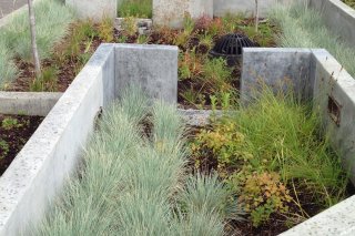 Concrete planters to filter stormwater runoff
