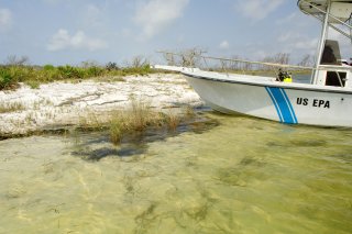 Image of an EPA boat in the water on a sandy shore with sea grass and other plants.