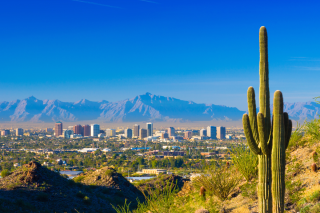The city of Phoenix is in the background of this image with mountains behind it and a brillian blue sky above. In the foreground is a large cactus on the right side and arid terrain. 