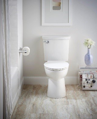 Picture of a toilet in a home