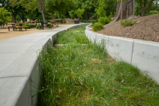 Green pathway running adjacent to a concrete sidewalk