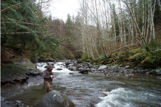 Photo of a scientist collecting a stream water sample. Photo by Jana Compton, U.S. EPA.