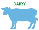 Dairy Cow Icon