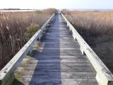 Dock on saltwater marsh in Crisfield MD