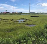 A saltwater marsh with a wind turbine, water tower, and buildings in the background. 